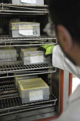 Concrete samples produced with Aether cement are being tested for carbonation ingress, chloride ingress and their resistance to chemically aggressive attacks such as sulphate or organic acid.