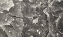 Figure 2: SEM image showing the dense micro-structure of energy-saving steel-slag cement paste after hydration for 90 days, 1000X.