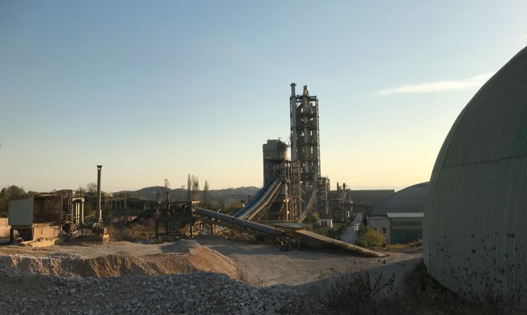 Peppers being grown, alongside figs and persimmon trees, next to the 400m-long limestone belt which connects the limestone crusher to the 400t buffer bin before the plant’s PGNAA analyser.