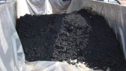 Figure 5: Centrifuged WWT solids.