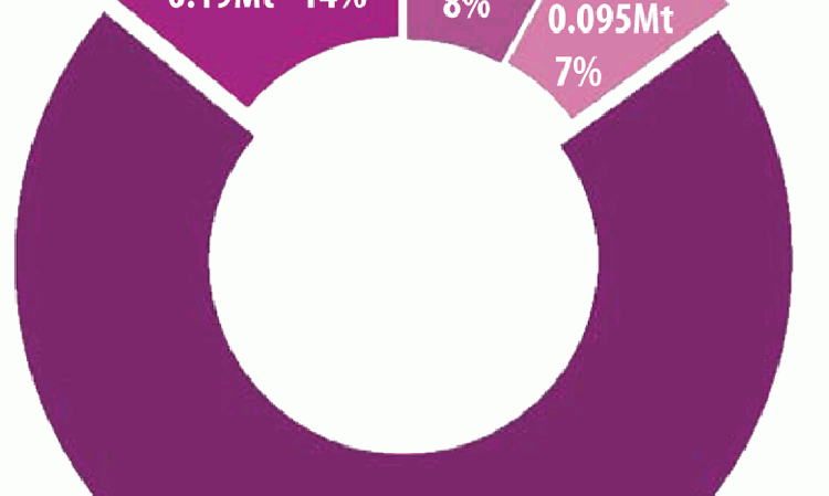 Breakdown of bulk and bagged cement despatches from the Lixhe plant in 2018.