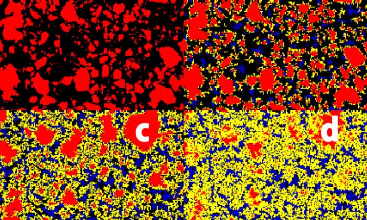 Figure 4: Scanning electron microscopy images showing cement particles during hydration. Note that full hydration is not possible due to presence of oversized particles, the cores of which cannot react with the water. a = 0% hydrated; b = 20% hydrated; c = 50% hydrated; d = 87% hydrated. Credit: Bentz, D.P.; Coveney, P.V.; Garboczi, E.J.; Kleyn, M.F.; & Stutzman, P.E. Modelling and Simulation in Materials Science and Engineering 2, 783 - 808, 1994.