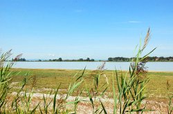 Figure 10: Lake Neusiedl National Park was produced in 2007 from a collaboration between Lafarge and the WWF in which an unused quarry was reclaimed.