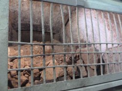 Peering down into the top of one of the plant's two limestone jaw crushers.