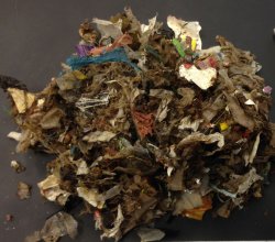 Typical outgoing SRF.