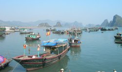 Ha Long Bay in north east Vietnam was designated as a UNESCO World Heritage Site in 1994.