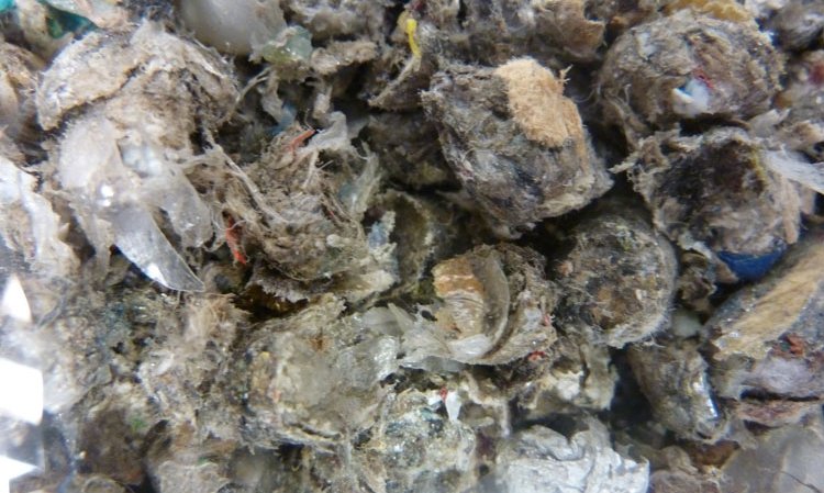 8mm Subcoal (R) ‘fluff.’