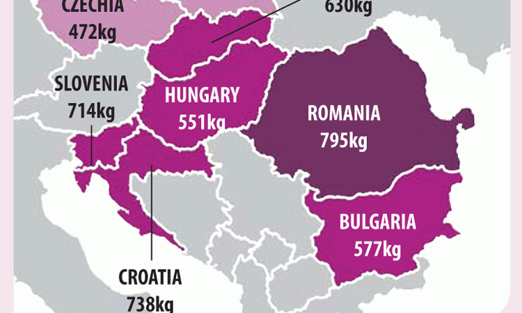Figure 4: Cement production capacity per capita for Central/Eastern EU countries. Calculated from Figure 2 and World Bank Data Indicators.