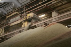 Limestone is deposited in the 40,000t linear storage building.