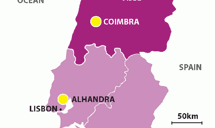 Location of Cimpor plants within Portugal.