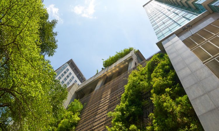 Low angle shot of modern glass buildings and green with clear sky background. Image by jamesteohart on Shutterstock.