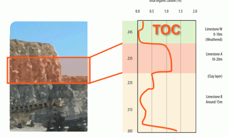 Figure 2: Typical vertical profiles for TOC.