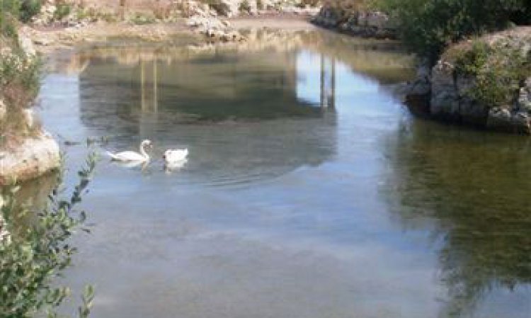 One of the plant’s 100t trucks unloads limestone into the 700t receiving hopper.