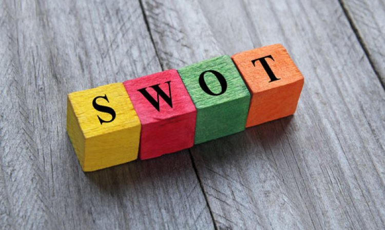 Strengths, weaknesses, opportunities and threats can be identified with the help of thorough due diligence procedures.