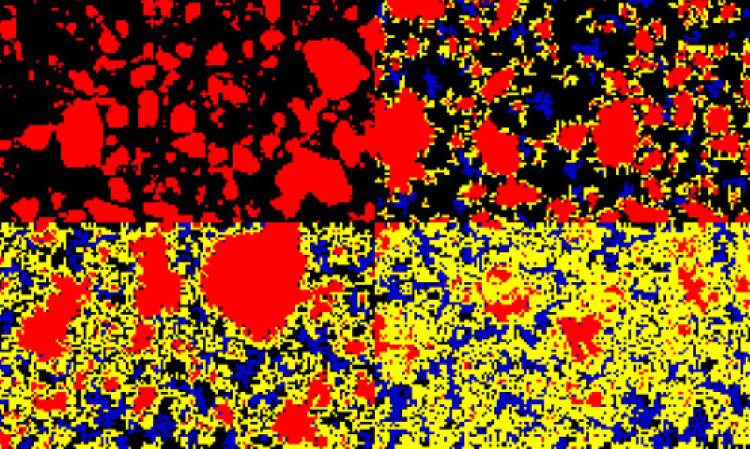 Scanning electron microscopy images showing cement particles during hydration.