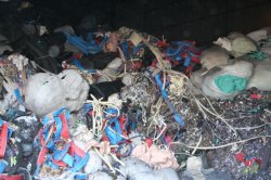 Industrial plastics prior to processing.