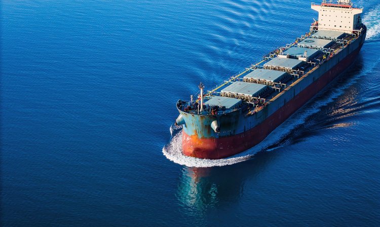 US TR 301 has thrown the global shipping market a curveball. Source: Shutterstock.