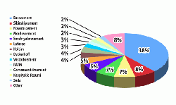 Figure 4: Russian cement producer market shares in 2010.(16)