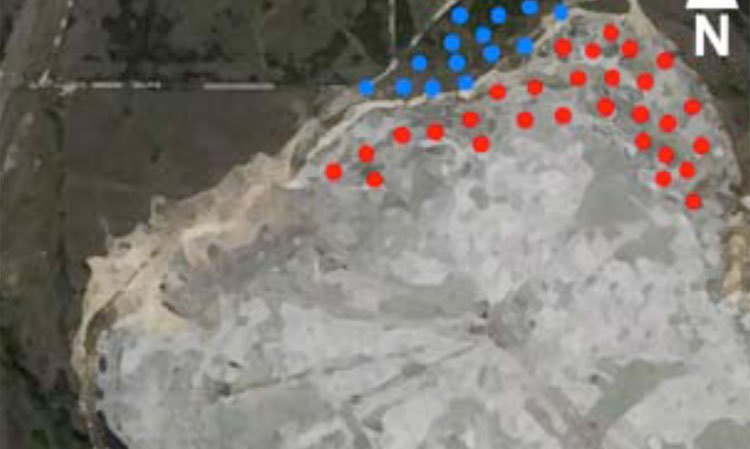 Figure 4: In-fill drilling campaign (below).