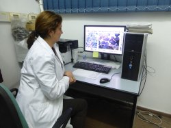 Figure 7: Oil well cement samples undergo rigorous analysis by dedicated systems.